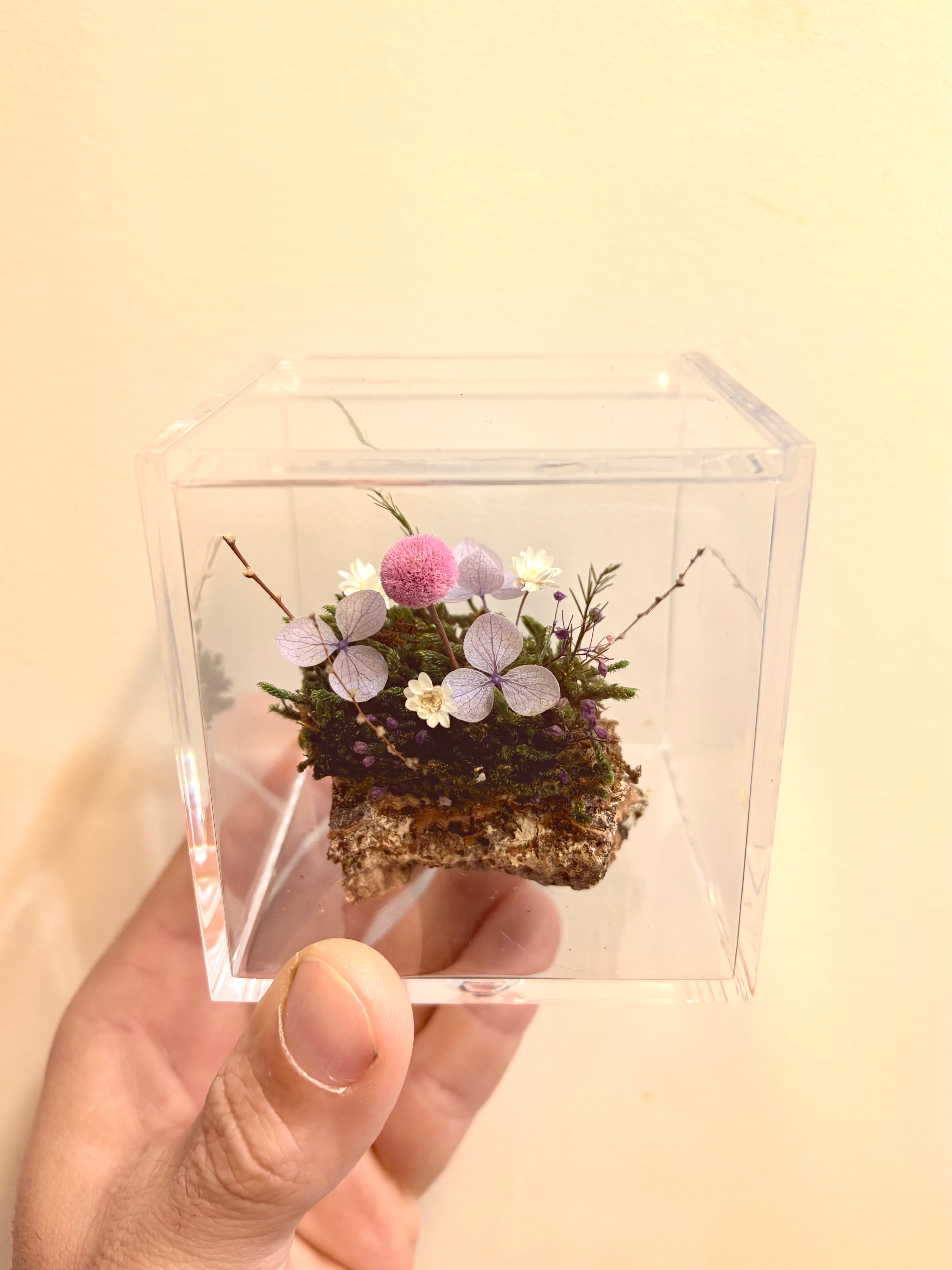 Corteccia fiorita rosa