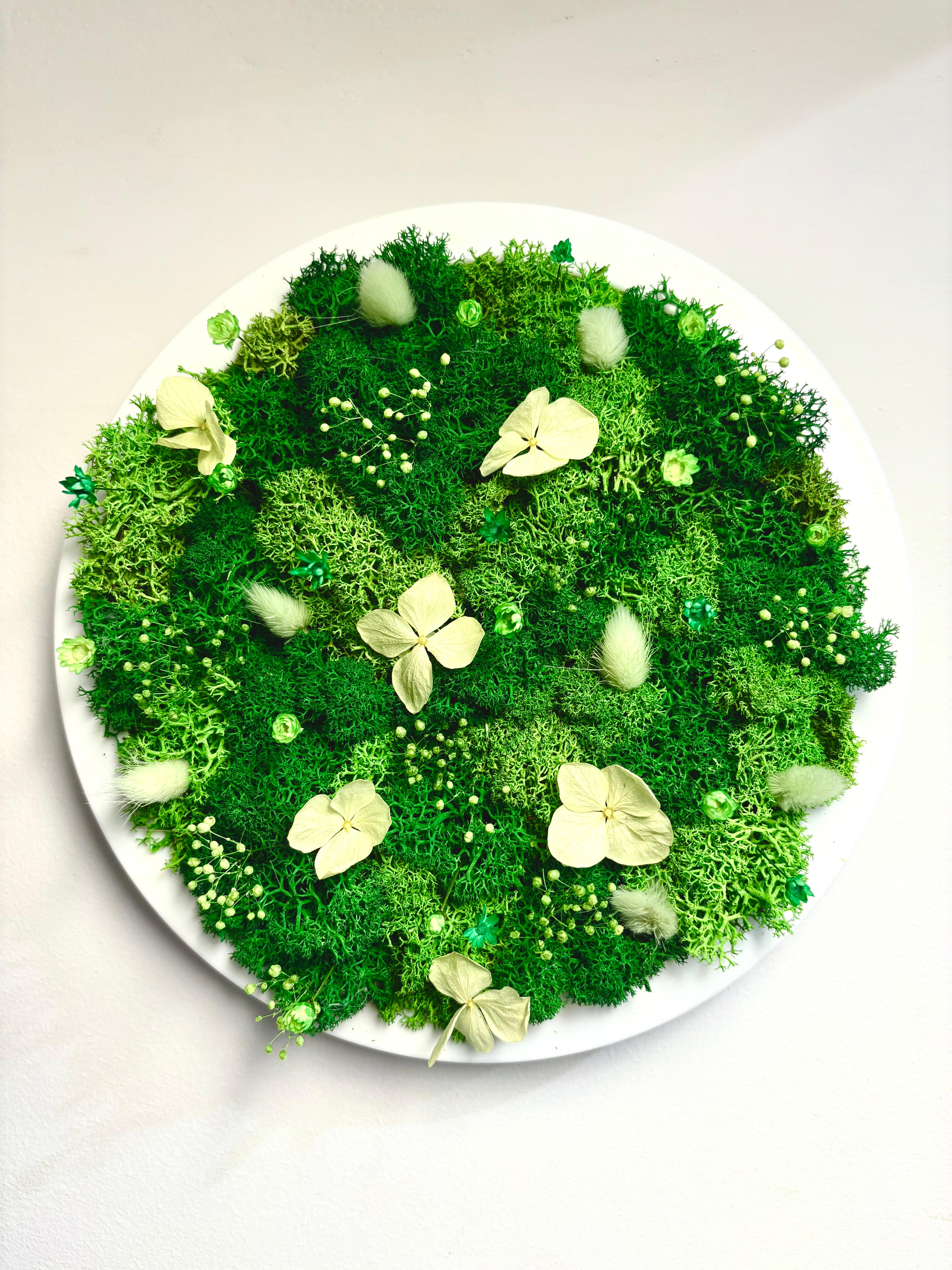 Simbiosi in tondo verde e giallo burro