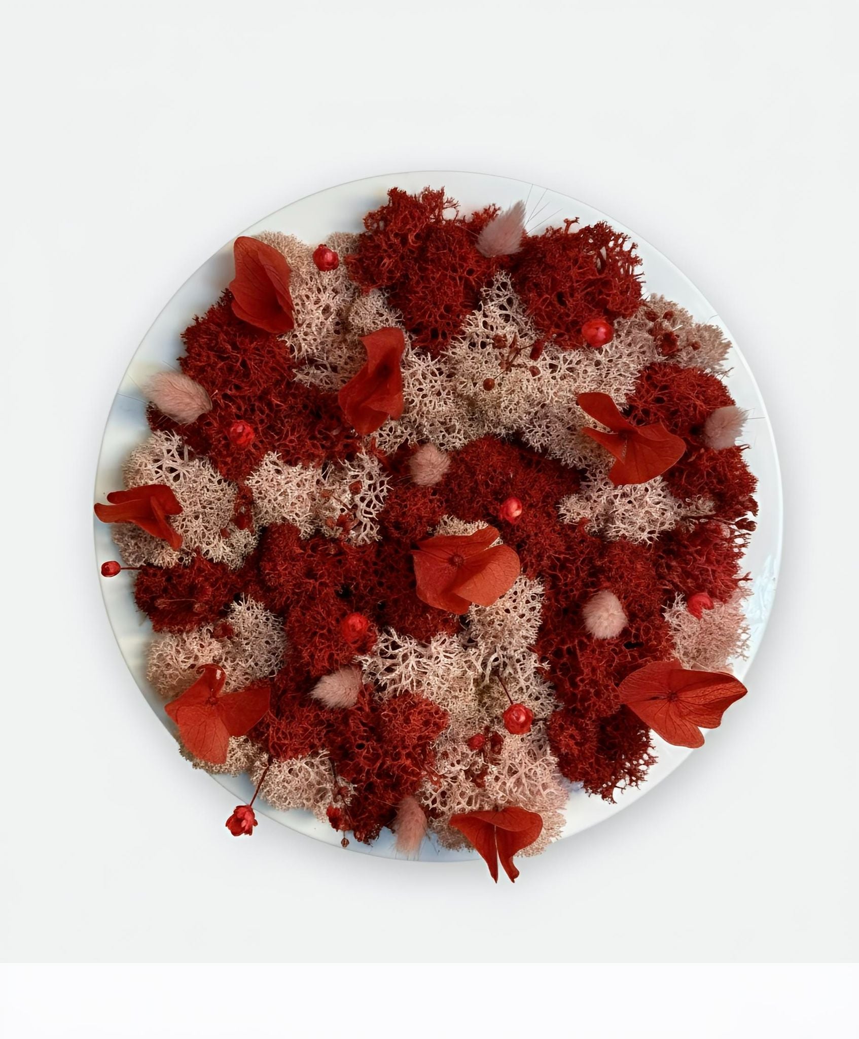 Simbiosi in tondo cipria e rosso