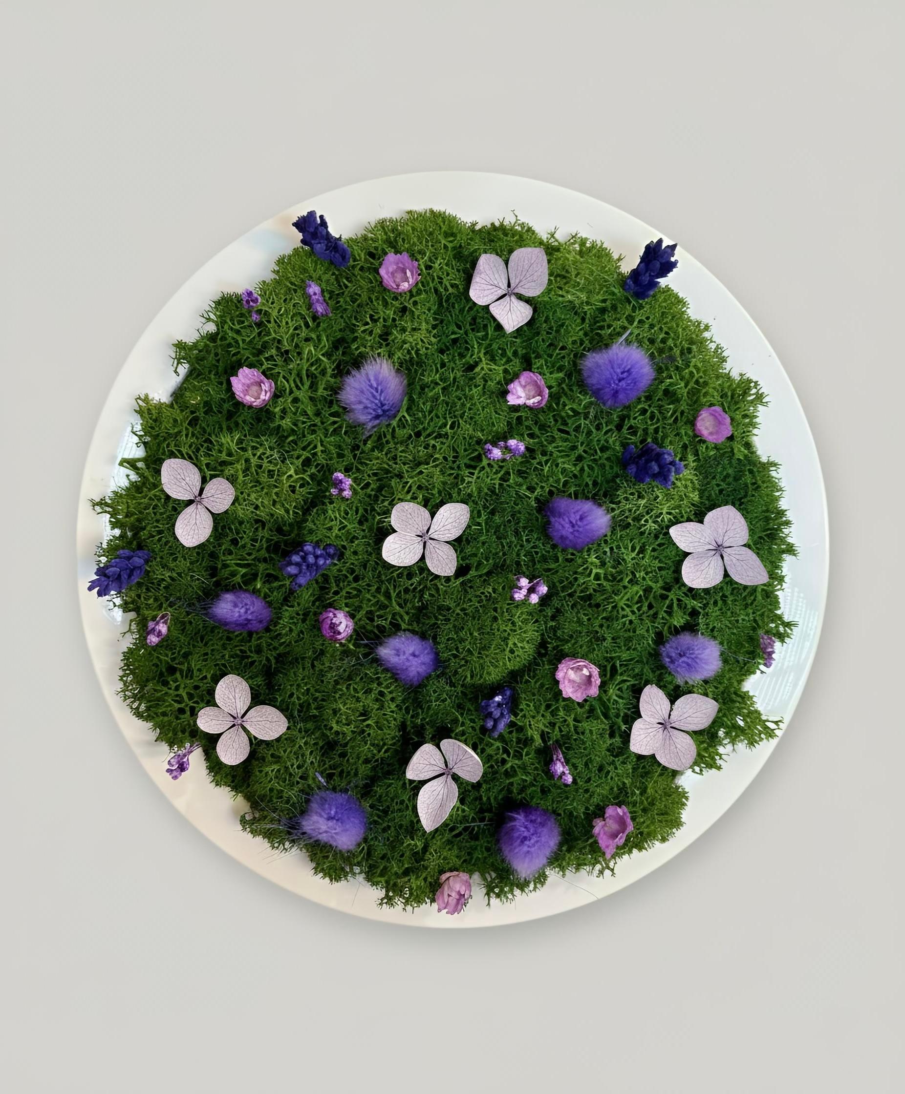 Simbiosi in tondo viola, lilla e verde.